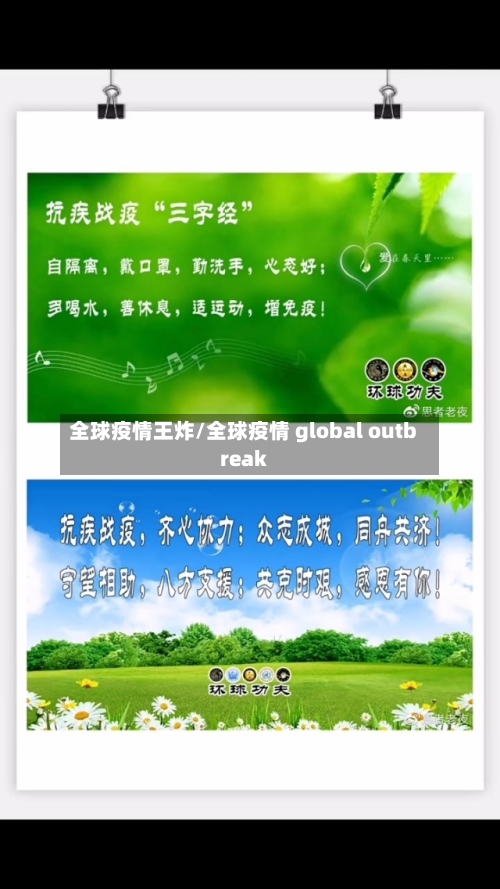 全球疫情王炸/全球疫情 global outbreak-第2张图片
