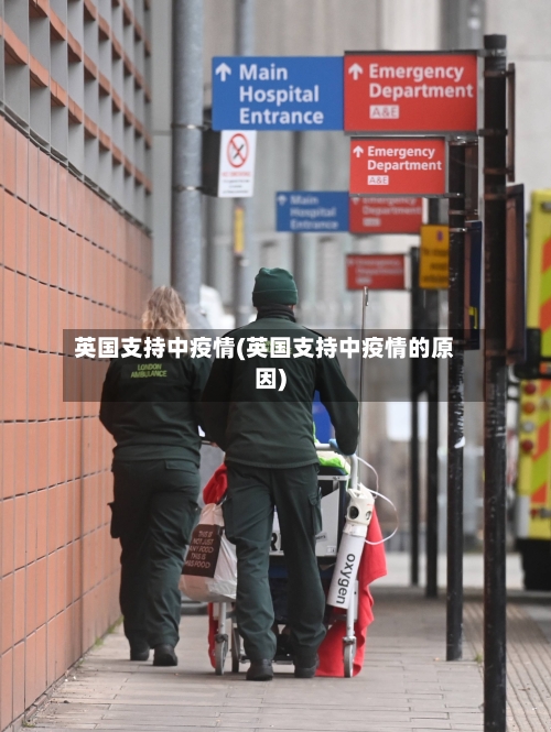 英国支持中疫情(英国支持中疫情的原因)-第2张图片
