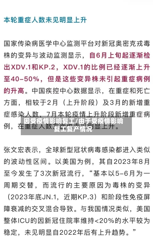 因受疫情影响复工/由于受疫情影响复工复产情况