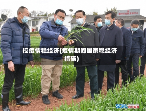 控疫情稳经济(疫情期间国家稳经济措施)-第2张图片