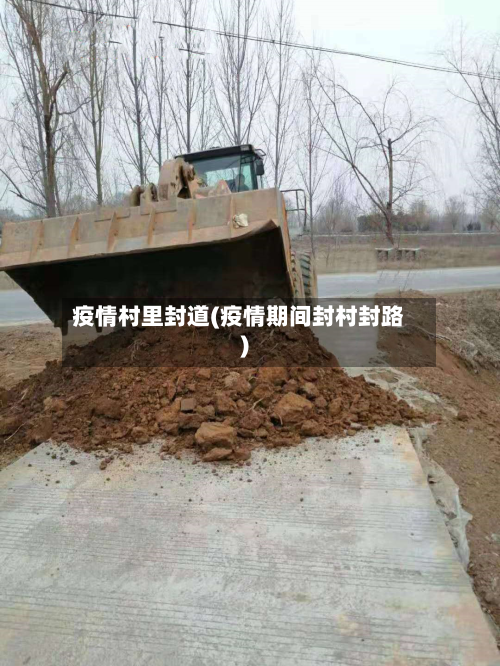 疫情村里封道(疫情期间封村封路)