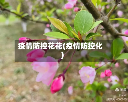 疫情防控花花(疫情防控化)-第2张图片