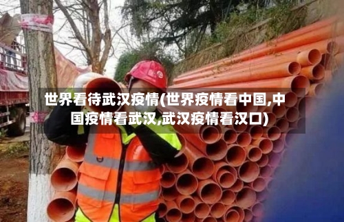 世界看待武汉疫情(世界疫情看中国,中国疫情看武汉,武汉疫情看汉口)-第3张图片