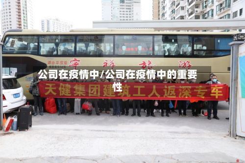 公司在疫情中/公司在疫情中的重要性