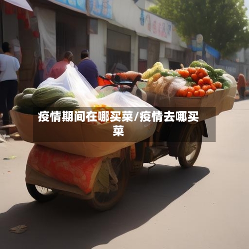 疫情期间在哪买菜/疫情去哪买菜-第2张图片