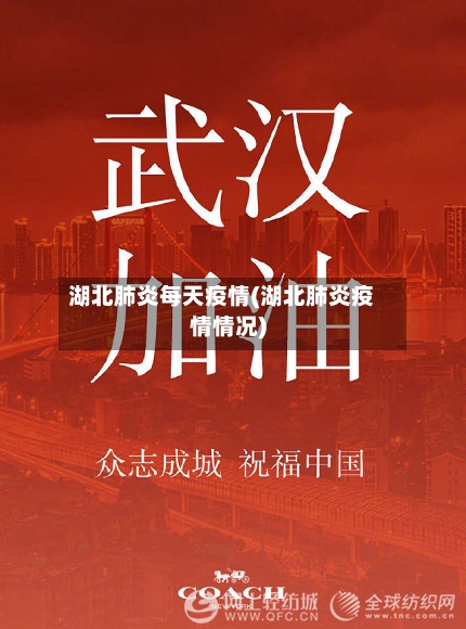 湖北肺炎每天疫情(湖北肺炎疫情情况)-第2张图片