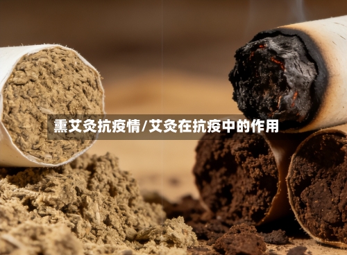 熏艾灸抗疫情/艾灸在抗疫中的作用