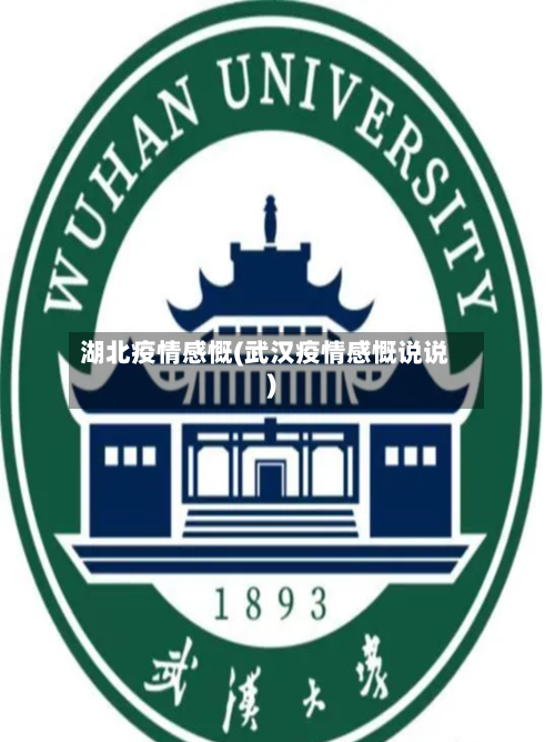 湖北疫情感慨(武汉疫情感慨说说)-第2张图片