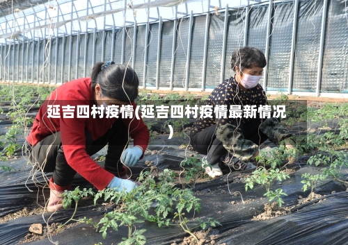 延吉四村疫情(延吉四村疫情最新情况)