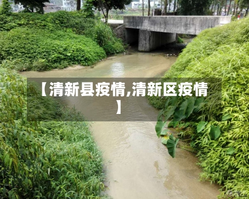 【清新县疫情,清新区疫情】-第2张图片