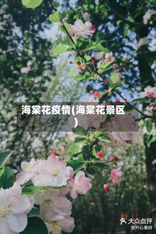 海棠花疫情(海棠花景区)-第2张图片