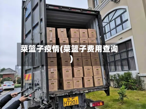 菜篮子疫情(菜篮子费用查询)