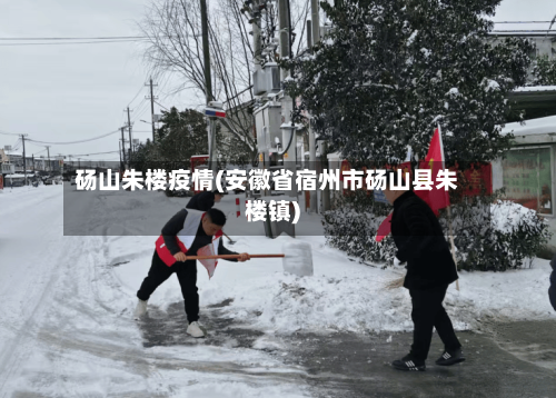 砀山朱楼疫情(安徽省宿州市砀山县朱楼镇)-第2张图片