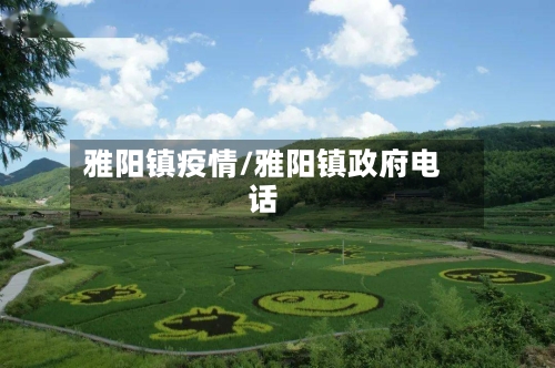 雅阳镇疫情/雅阳镇政府电话-第2张图片