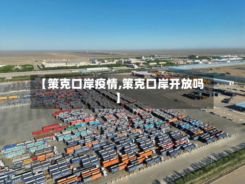 【策克口岸疫情,策克口岸开放吗】-第3张图片