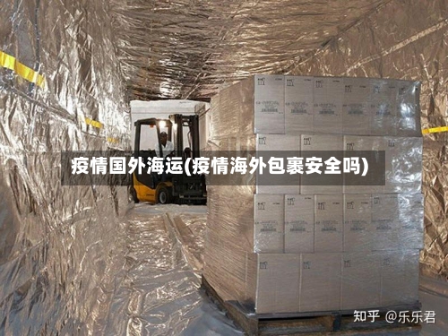 疫情国外海运(疫情海外包裹安全吗)