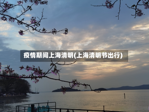 疫情期间上海清明(上海清明节出行)