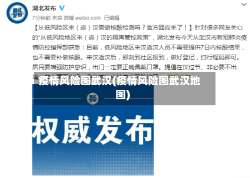 疫情风险图武汉(疫情风险图武汉地图)