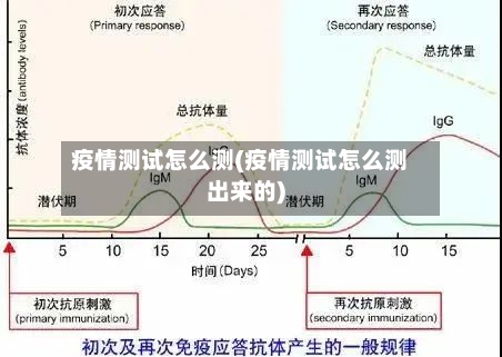 疫情测试怎么测(疫情测试怎么测出来的)-第2张图片