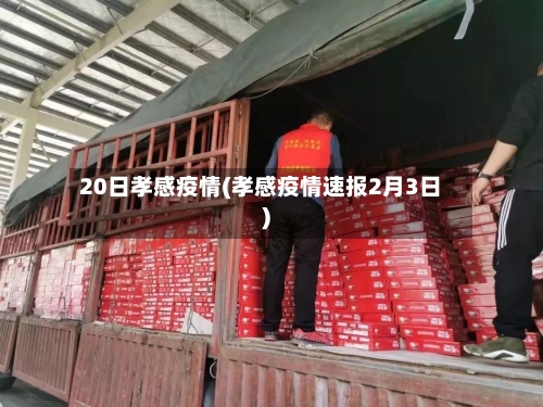20日孝感疫情(孝感疫情速报2月3日)