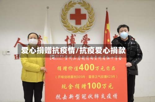 爱心捐赠抗疫情/抗疫爱心捐款