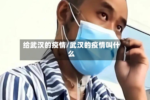 给武汉的疫情/武汉的疫情叫什么