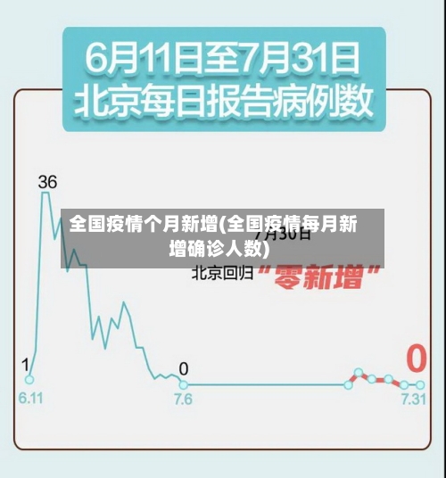 全国疫情个月新增(全国疫情每月新增确诊人数)-第2张图片