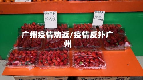 广州疫情劝返/疫情反扑广州-第2张图片