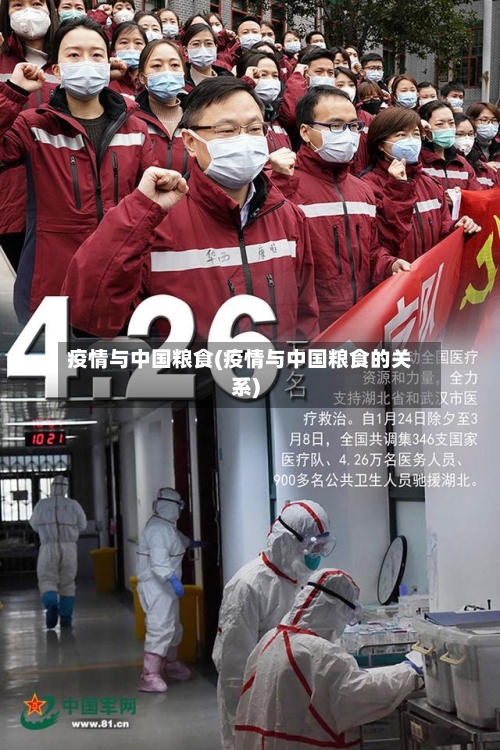 疫情与中国粮食(疫情与中国粮食的关系)