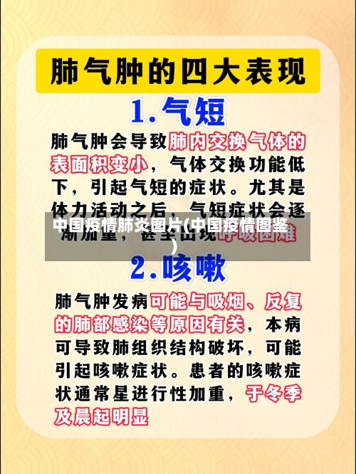 中国疫情肺炎图片(中国疫情图鉴)-第2张图片