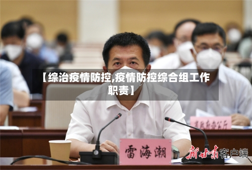 【综治疫情防控,疫情防控综合组工作职责】