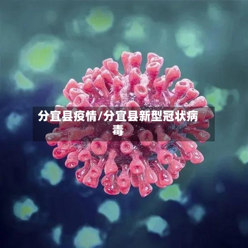 分宜县疫情/分宜县新型冠状病毒-第3张图片