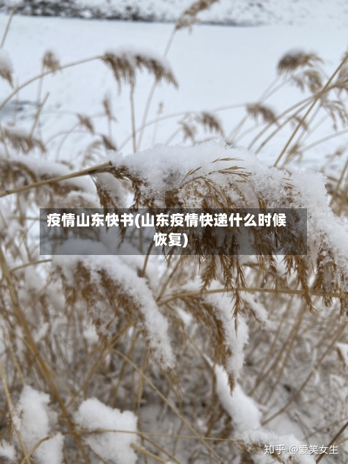 疫情山东快书(山东疫情快递什么时候恢复)