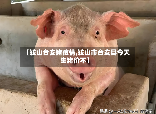 【鞍山台安猪疫情,鞍山市台安县今天生猪价不】