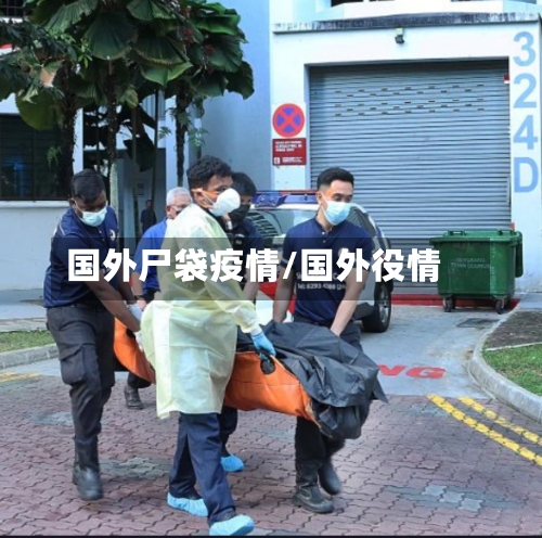 国外尸袋疫情/国外役情