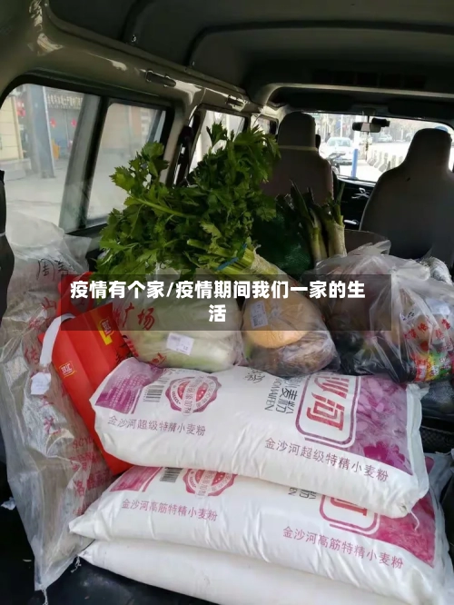 疫情有个家/疫情期间我们一家的生活-第3张图片