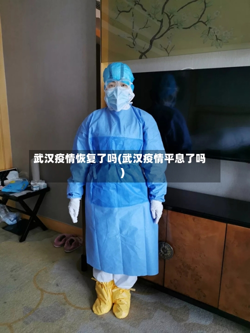 武汉疫情恢复了吗(武汉疫情平息了吗)-第2张图片