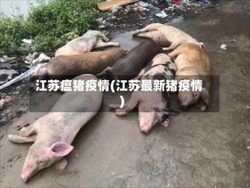 江苏瘟猪疫情(江苏最新猪疫情)-第3张图片