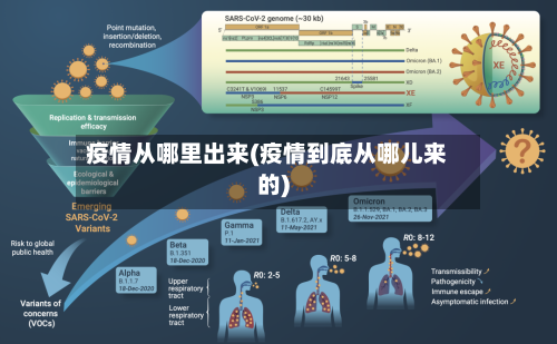 疫情从哪里出来(疫情到底从哪儿来的)-第2张图片