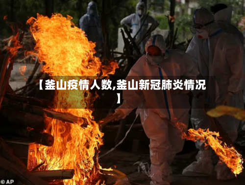 【釜山疫情人数,釜山新冠肺炎情况】-第3张图片