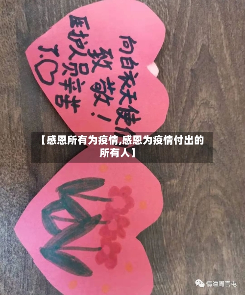【感恩所有为疫情,感恩为疫情付出的所有人】-第2张图片