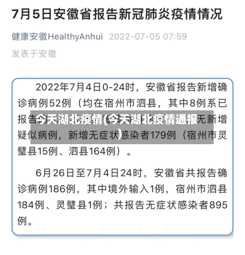 今天湖北疫情(今天湖北疫情通报)-第2张图片
