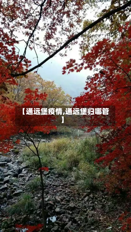 【通远堡疫情,通远堡归哪管】