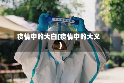 疫情中的大白(疫情中的大义)-第3张图片