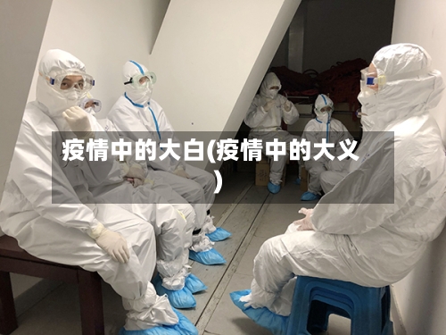 疫情中的大白(疫情中的大义)-第2张图片