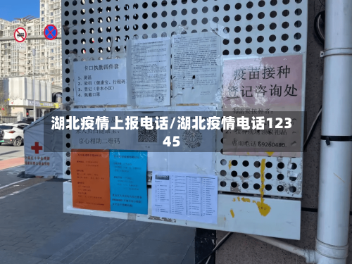 湖北疫情上报电话/湖北疫情电话12345