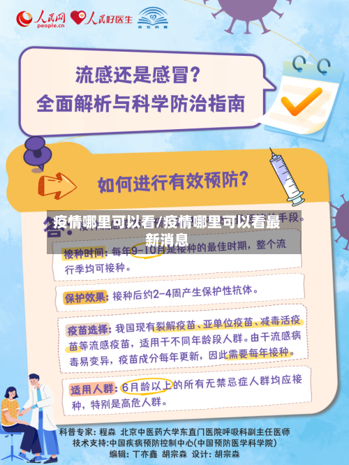 疫情哪里可以看/疫情哪里可以看最新消息