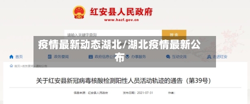 疫情最新动态湖北/湖北疫情最新公布-第2张图片