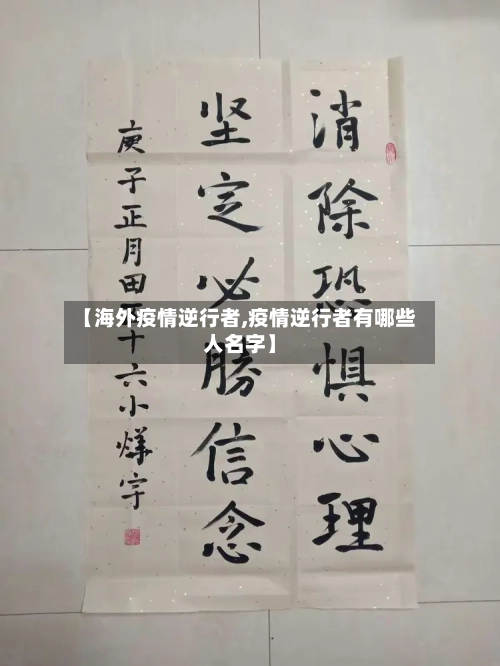 【海外疫情逆行者,疫情逆行者有哪些人名字】-第2张图片