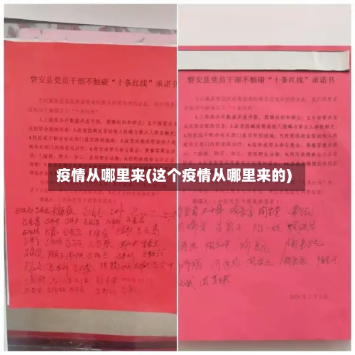 疫情从哪里来(这个疫情从哪里来的)